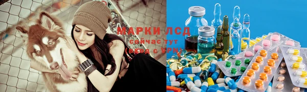 хмурый Волосово