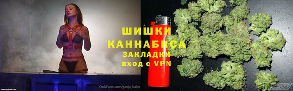 прущая мука Вяземский