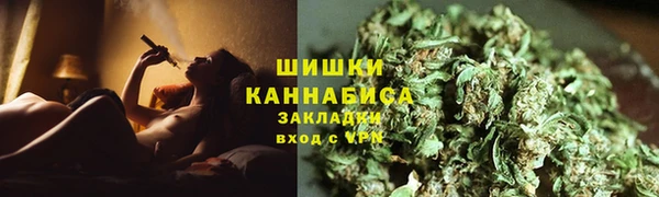 прущая мука Вяземский