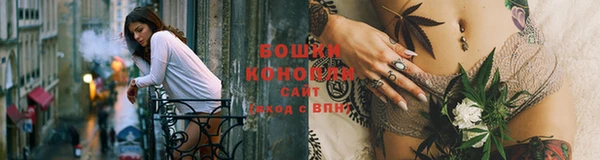 хмурый Волосово